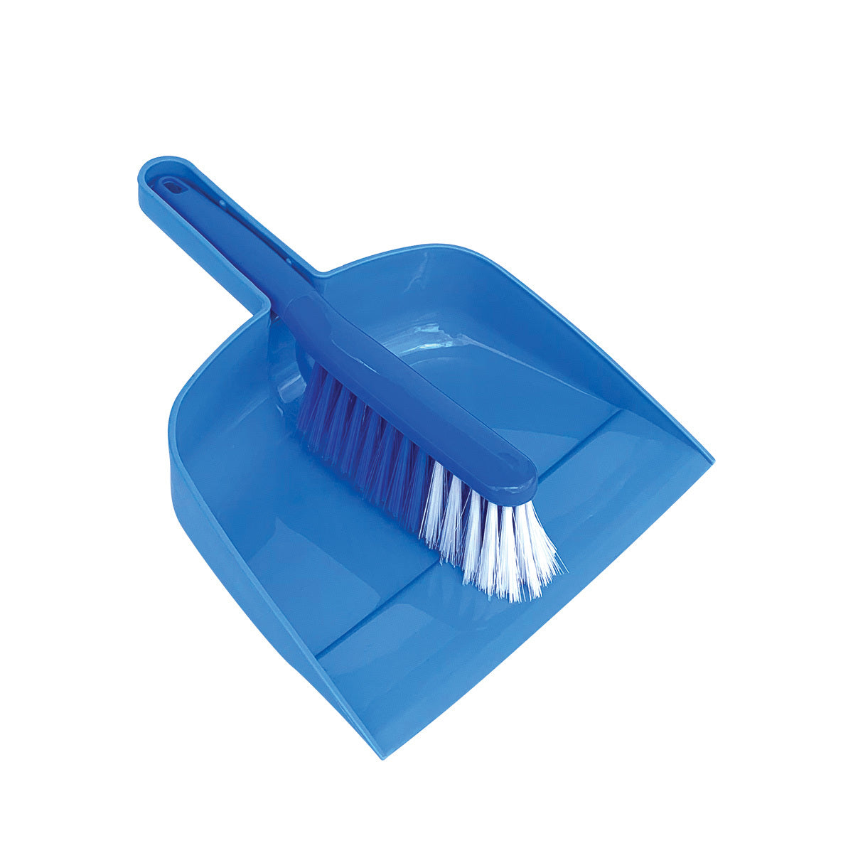 Dustpan Set