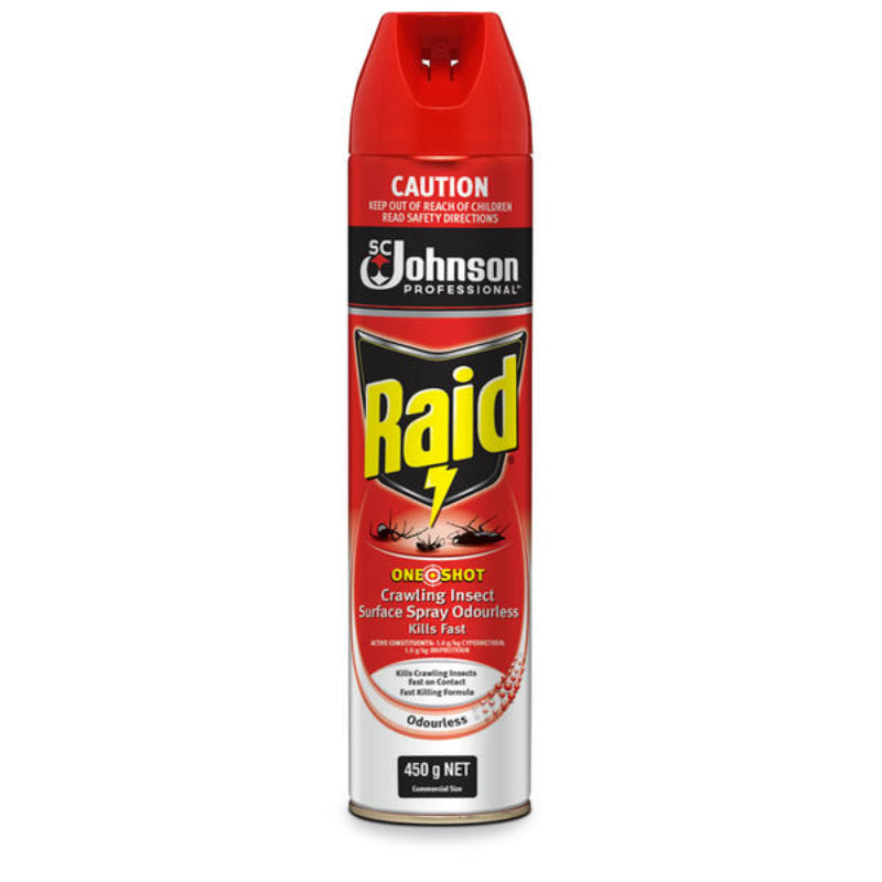 Raid insect spray can on a white background