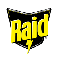 Raid