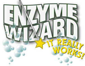 Enzyme Wizard