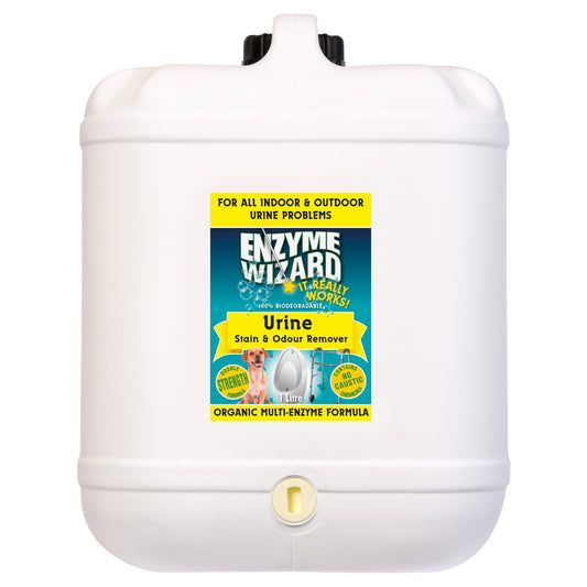 White container with Enzyme Wizard label on a white background