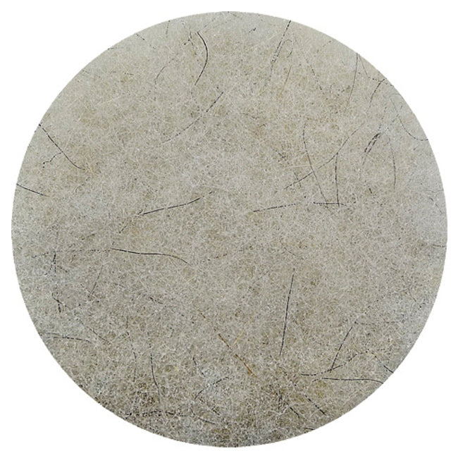 Glomesh Floor Pad on a white background
