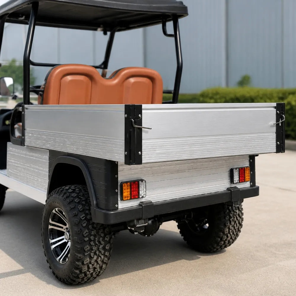 Lvtong Electric Performance 2 Seat Buggy with Tray