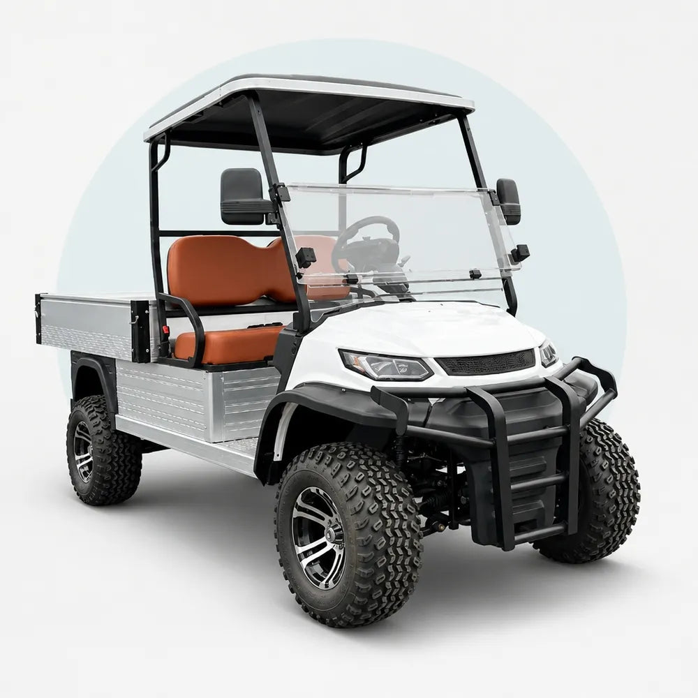 Lvtong Electric Performance 2 Seat Buggy with Tray