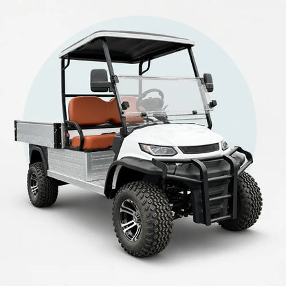 Lvtong Electric Performance 2 Seat Buggy with Tray