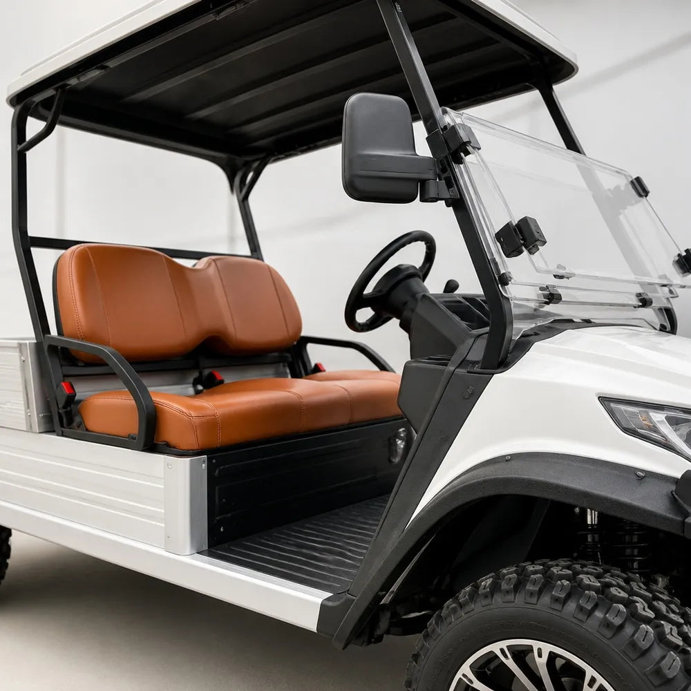 Lvtong Electric Performance 2 Seat Buggy with Tray