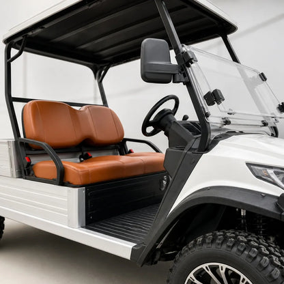 Lvtong Electric Performance 2 Seat Buggy with Tray