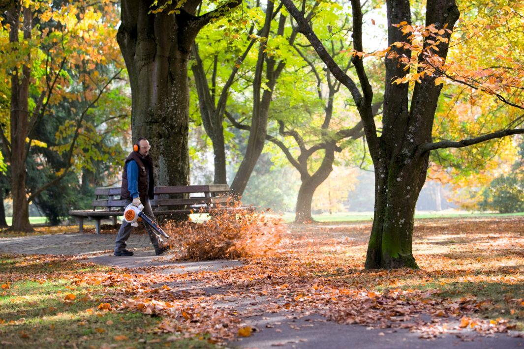 Person using a STIHL Blower 2 Stroke BG86 leaf blower in a park with autumn foliage