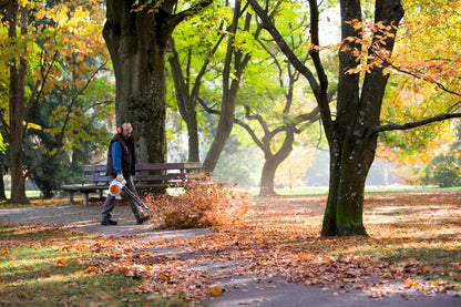 Person using a STIHL Blower 2 Stroke BG86 leaf blower in a park with autumn foliage