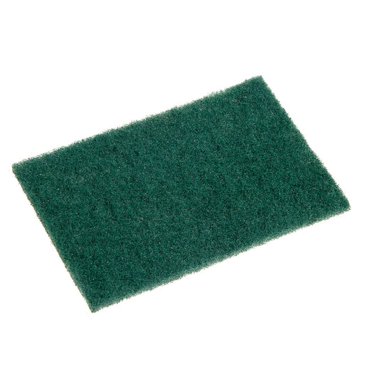 Green scrubbing pad on a white background
