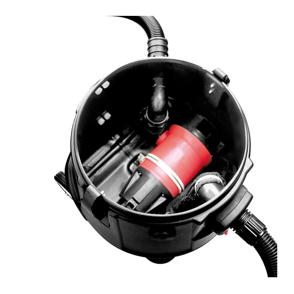 Black and red pump on a white background