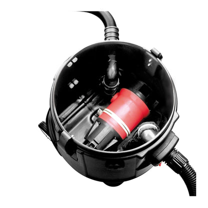 Black and red pump on a white background