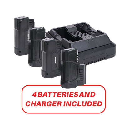 Set of four black batteries and a charger with a red label on a white background